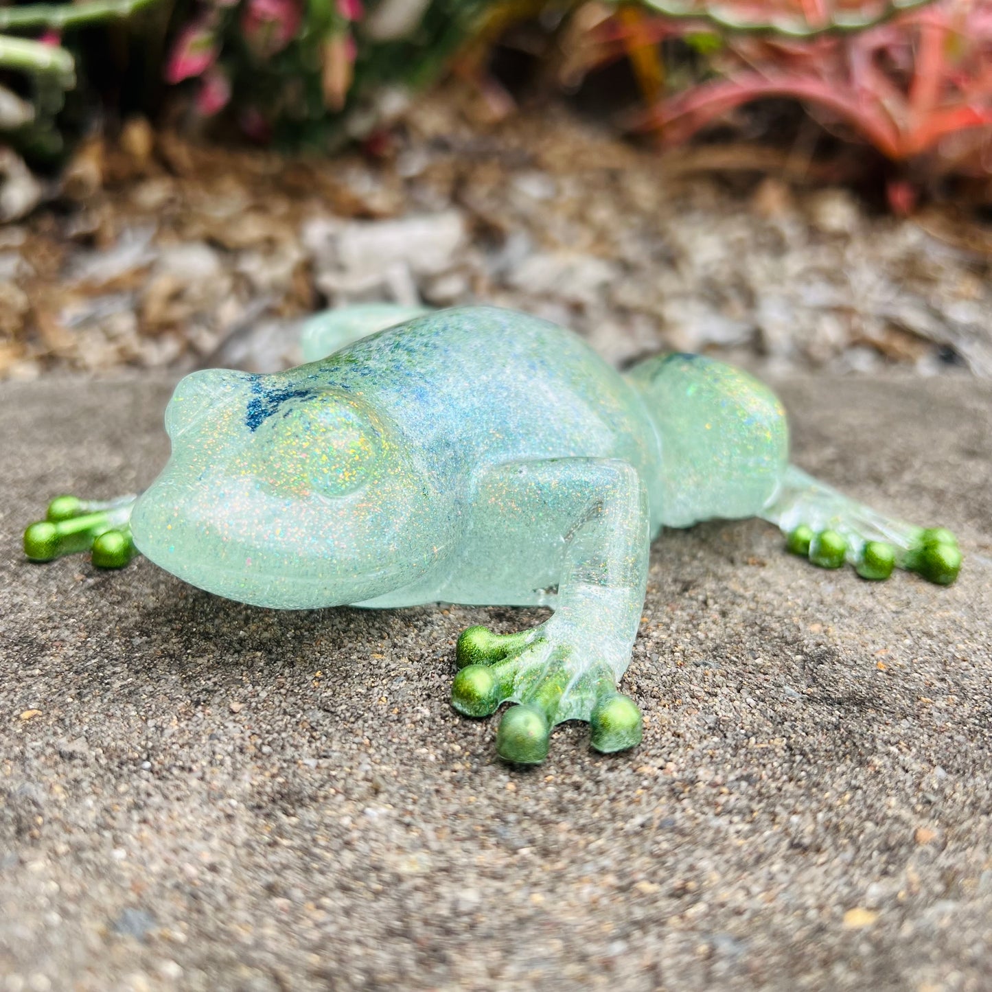 Bookshelf Froggy #2