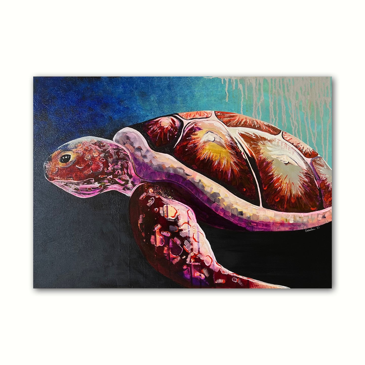 ‘Life Under The Surface’