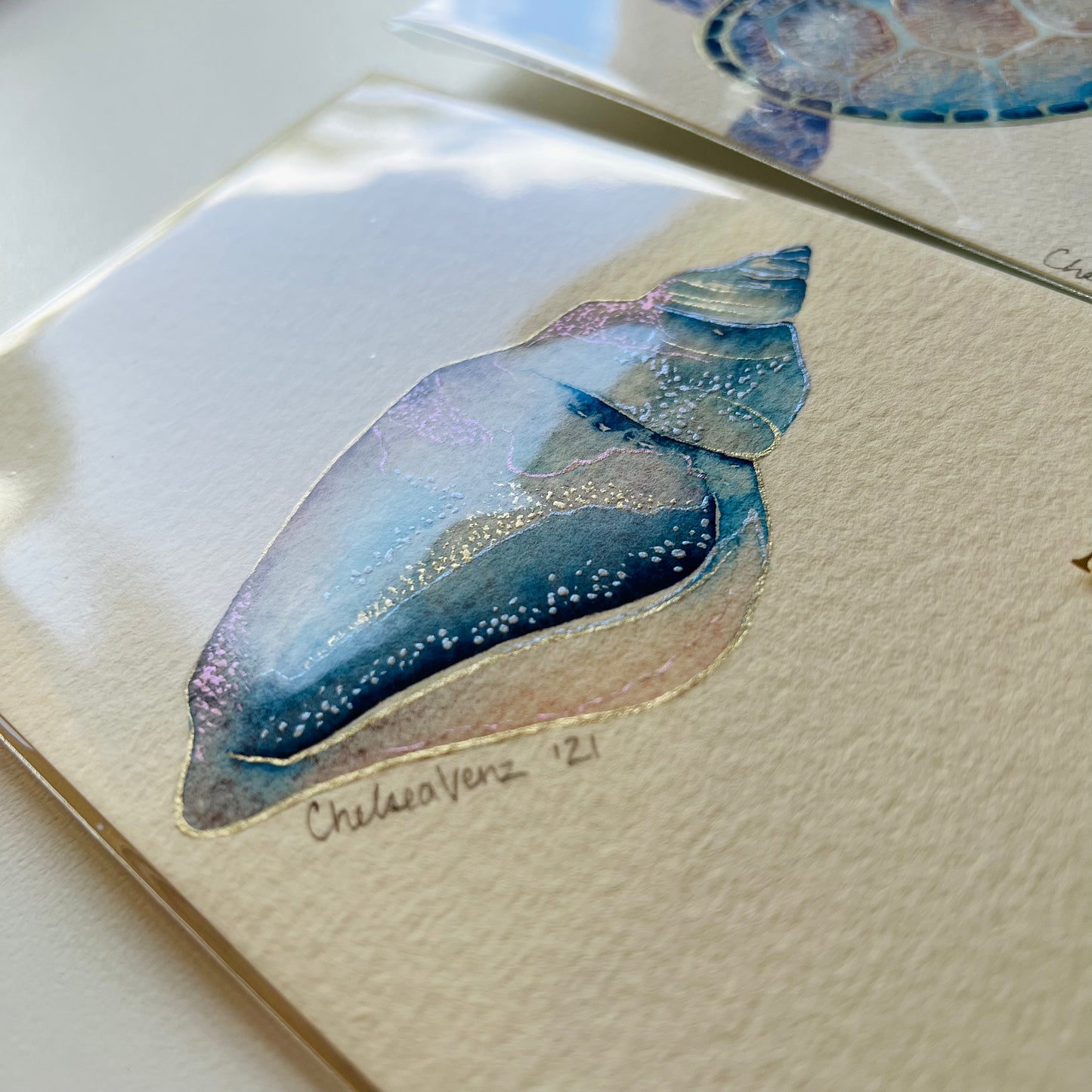 ‘Illuminated Sea Life’