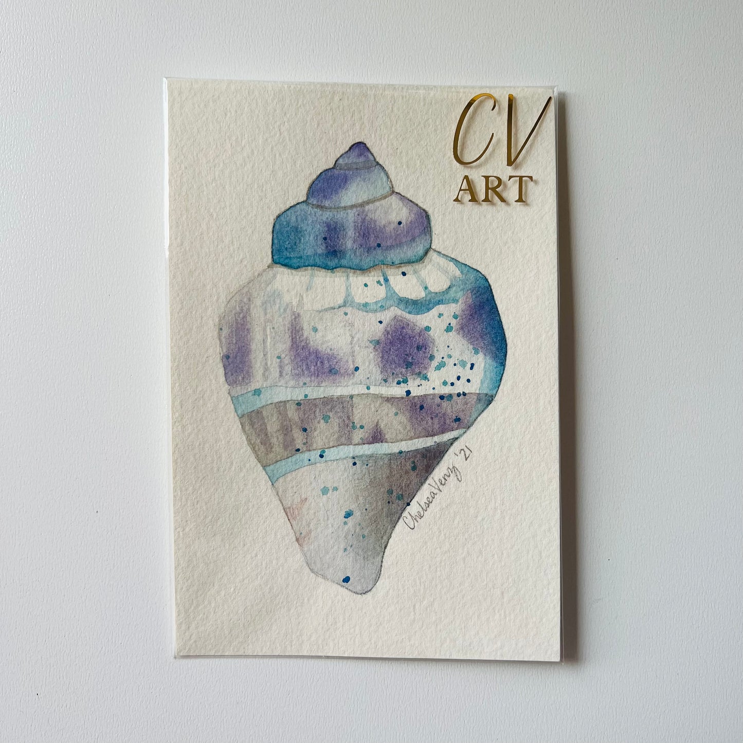 ‘Single Shell’ Original Watercolour Painting – cvartcolours