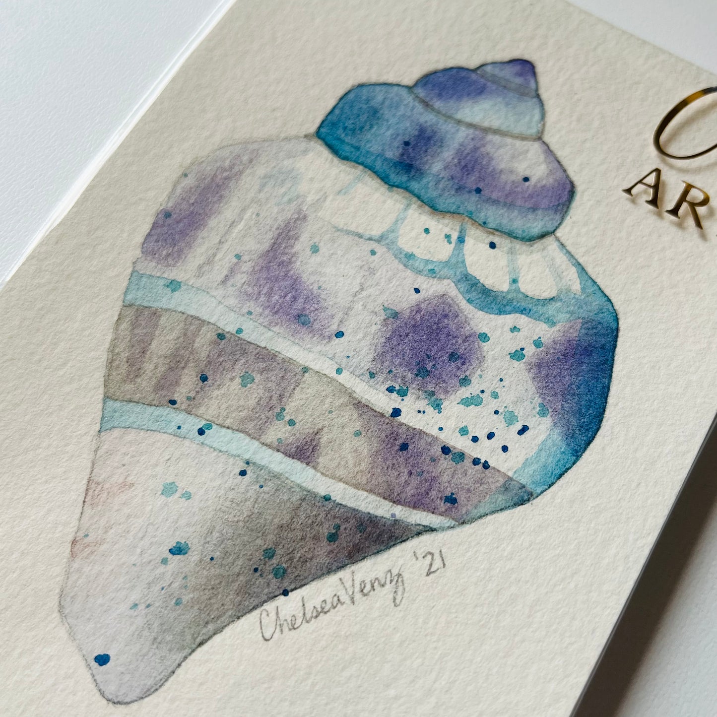 ‘Single Shell’ Original Watercolour Painting – cvartcolours