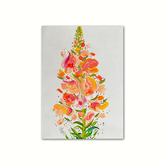 ‘Mini Sun Drenched Snap Dragon’